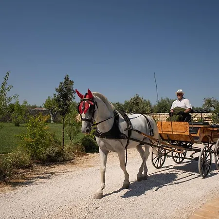 Terra Terra - Masseria Minunni Farm stay