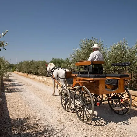 Terra Terra - Masseria Minunni * Conversano